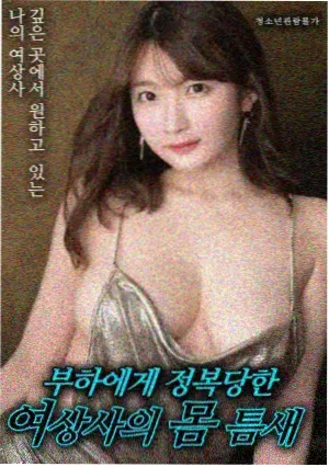 灯塔以北 电影海报
